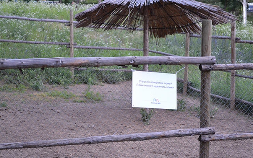 Positivo del zoológico