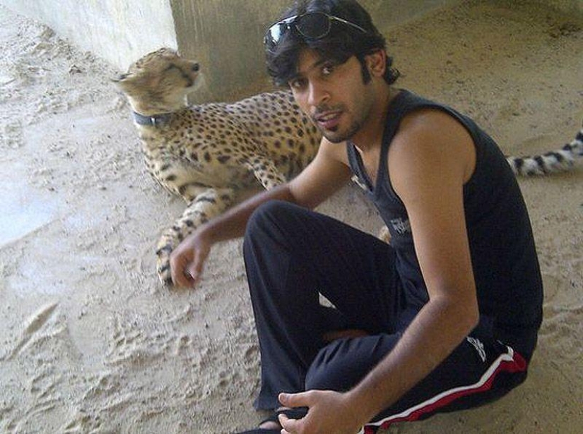 Predatory cats and expensive cars: the leisure of an Arab millionaire