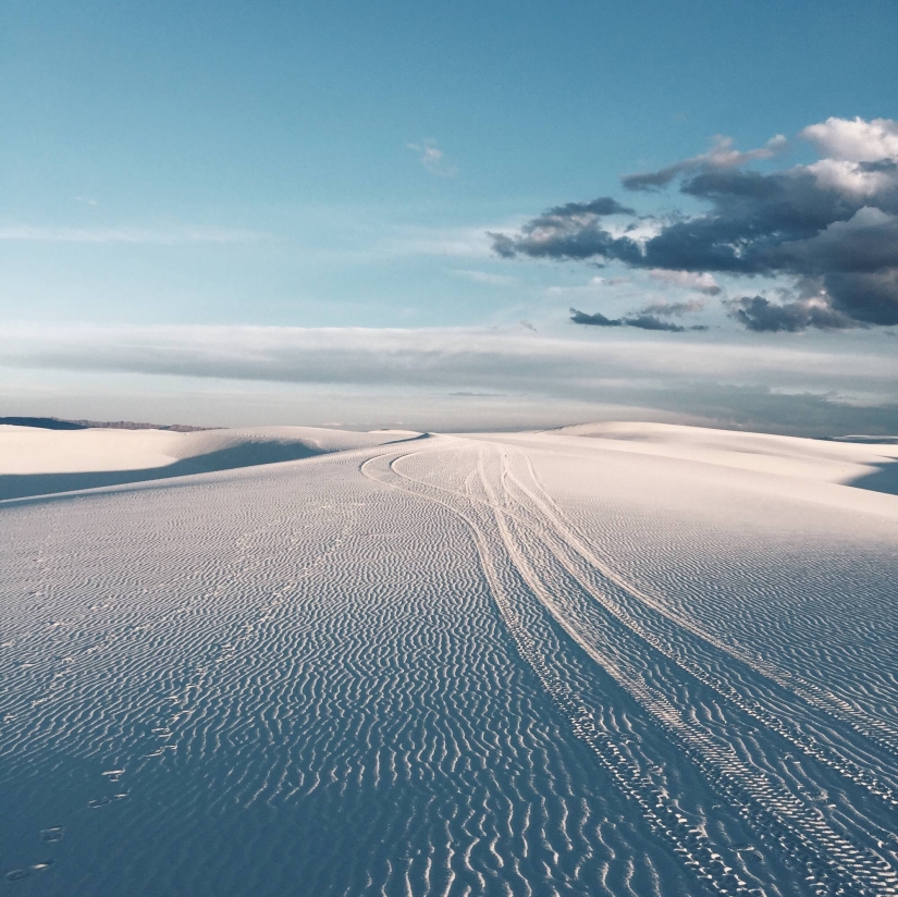 Premios a la Mejor Fotografía de iPhone 2016