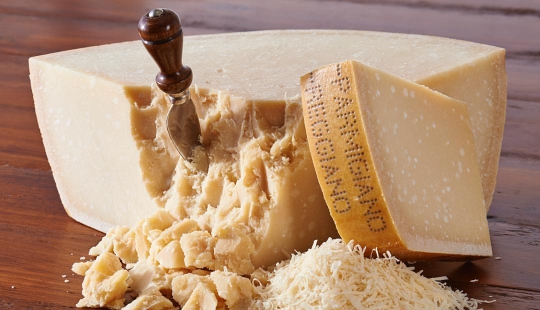 Protecting parmesan from counterfeiting: edible microchips