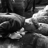 Publicación de amor por la cerveza: cómo se elaboró la verdadera Guinness