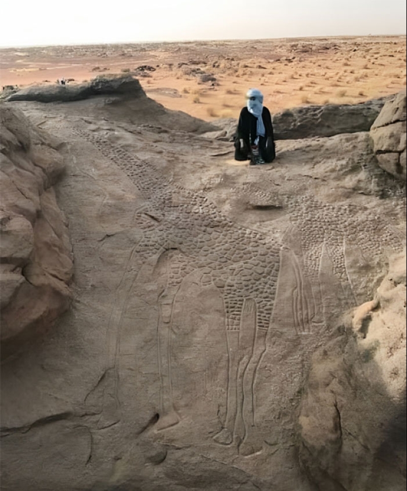 “Puesto de perritos calientes”: 10 descubrimientos inusuales y extraños que sorprendieron a los exploradores del desierto