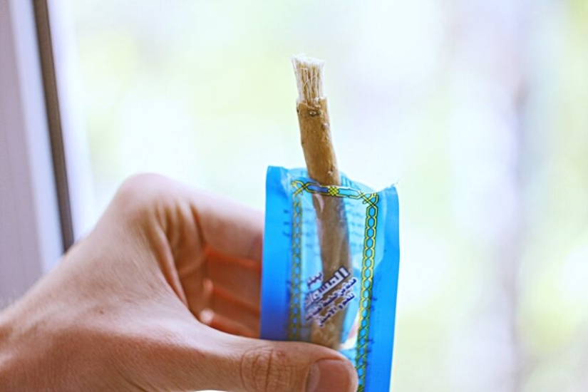 ¿Qué es un miswak y puede reemplazar nuestro cepillo de dientes