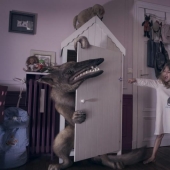 Quién es el jefe de la casa: un proyecto fotográfico divertido sobre niños y monstruos