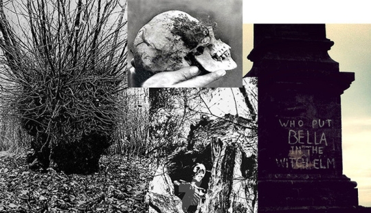 "¿Quién puso a Bella en el olmo?": un hallazgo espeluznante en el bosque sorprendió a un pequeño pueblo "¿Quién puso a Bella en el olmo?": un hallazgo espeluznante en el bosque sorprendió a un pequeño pueblo