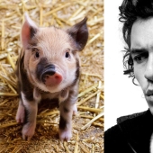 "¡Quita el cerdo!": fobias inesperadas de Depp, Bloom, Medvedeva y otras estrellas