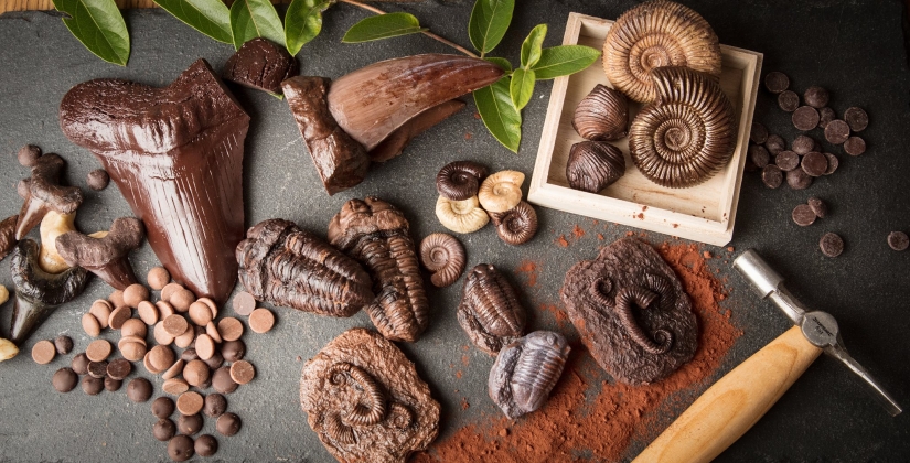 Ranas, corazones, conchas y otras figuras de chocolate de Sarah Hardy