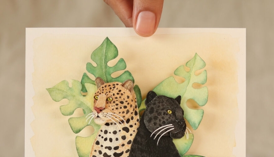 “Rare”: My Collection Of Paper Art To Show The Beauty Of Rare Genetic Mutation Of Albinism And Melanism