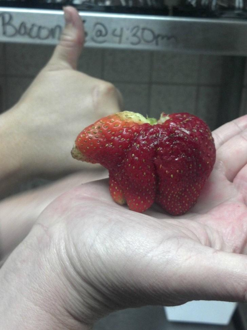 Rábanos señoriales y otras frutas-hortalizas que han olvidado que son plantas