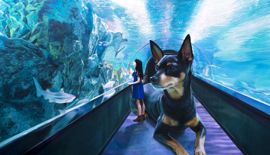 Realistic drawings of a giant dog and a cute Korean girl Realistic drawings of a giant dog and a cute Korean girl