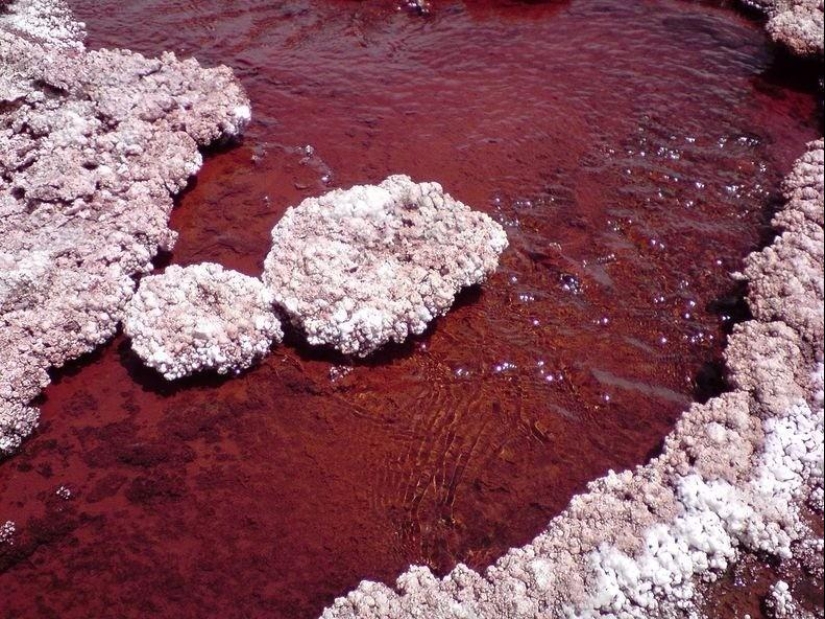 Red Lagoon in Chile