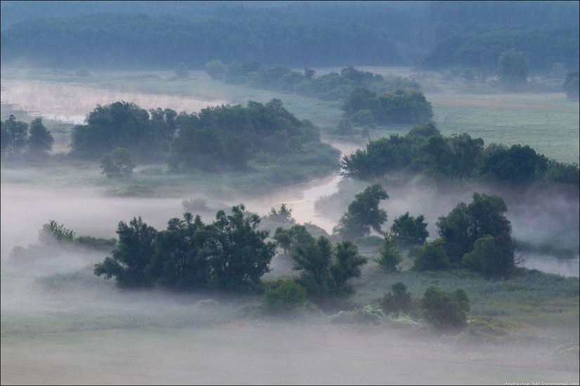 Reino de la Niebla