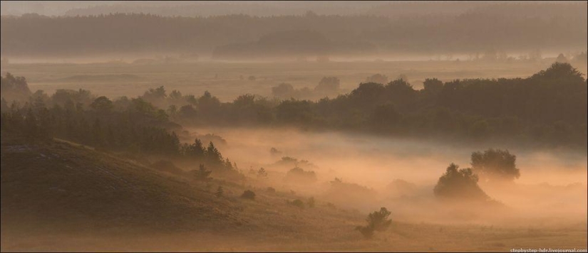 Reino de la Niebla