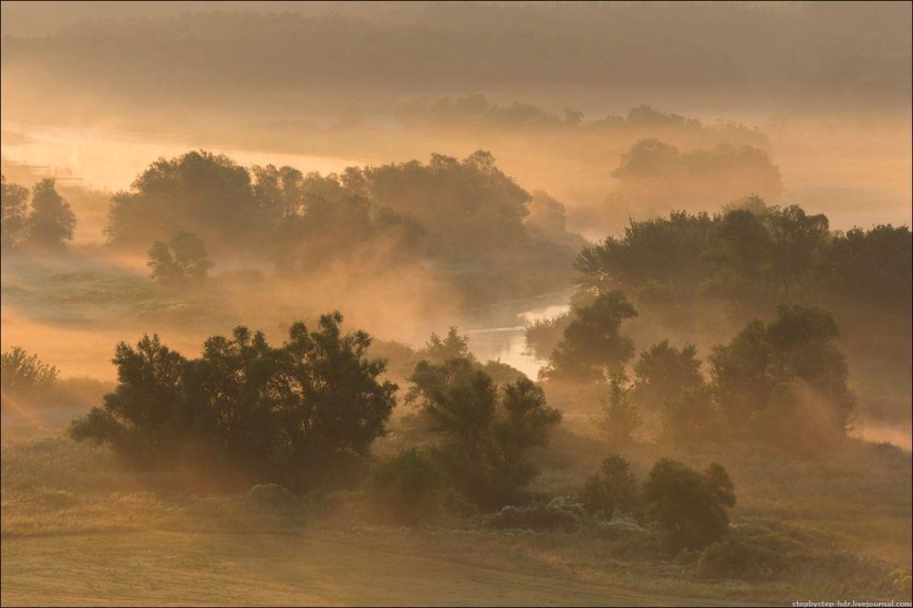 Reino de la Niebla