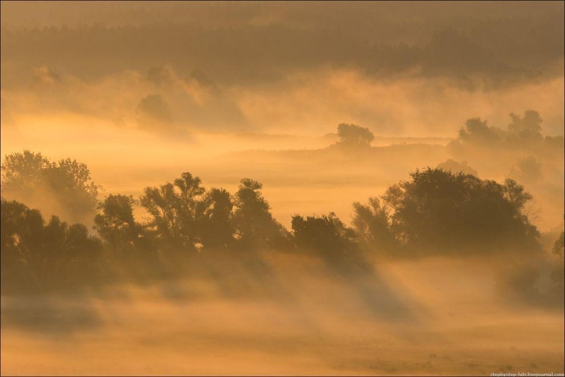 Reino de la Niebla