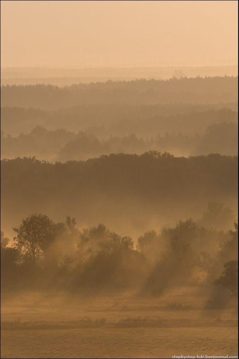 Reino de la Niebla