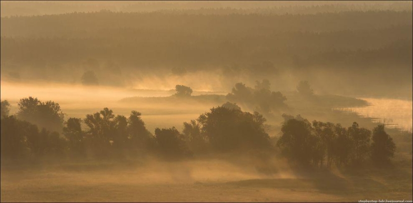 Reino de la Niebla