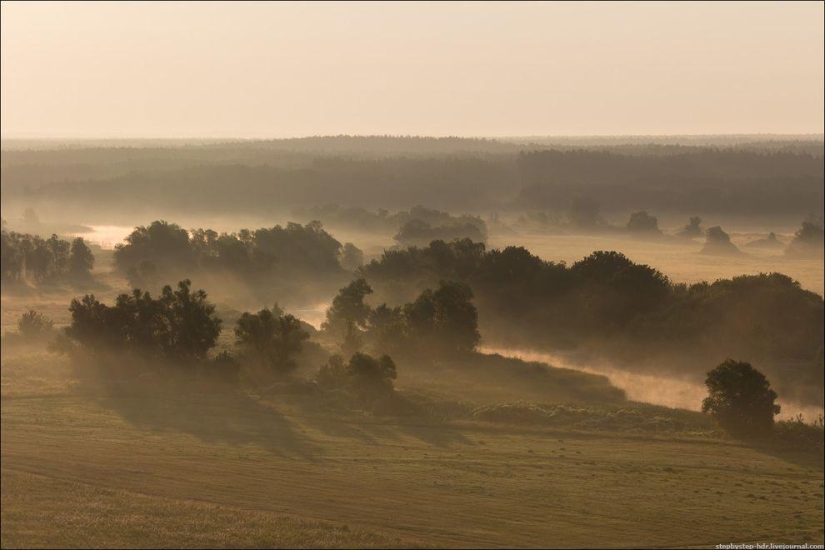 Reino de la Niebla