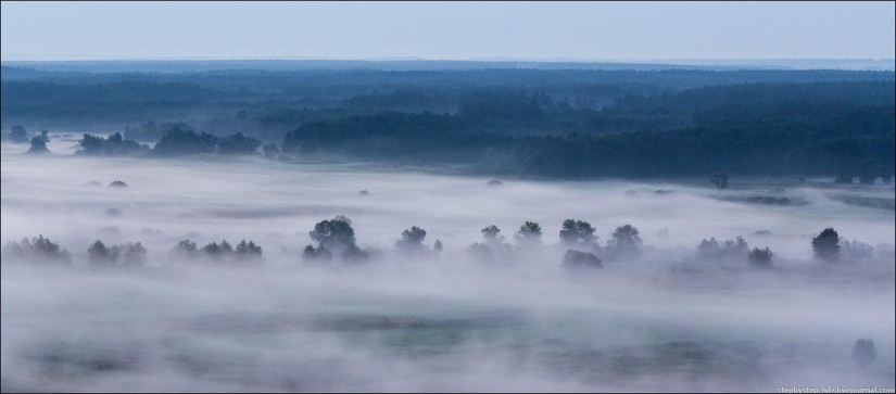 Reino de la Niebla