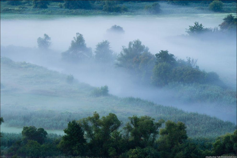 Reino de la Niebla