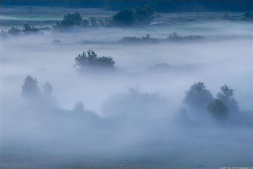 Reino de la Niebla