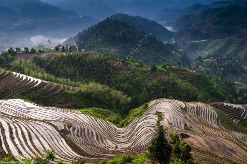 Rice terraces in Longsheng