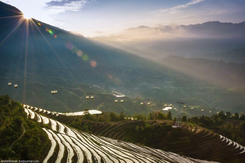 Rice terraces in Longsheng