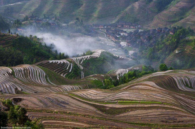 Rice terraces in Longsheng