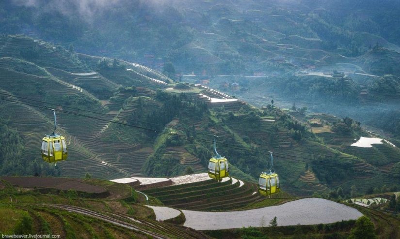 Rice terraces in Longsheng