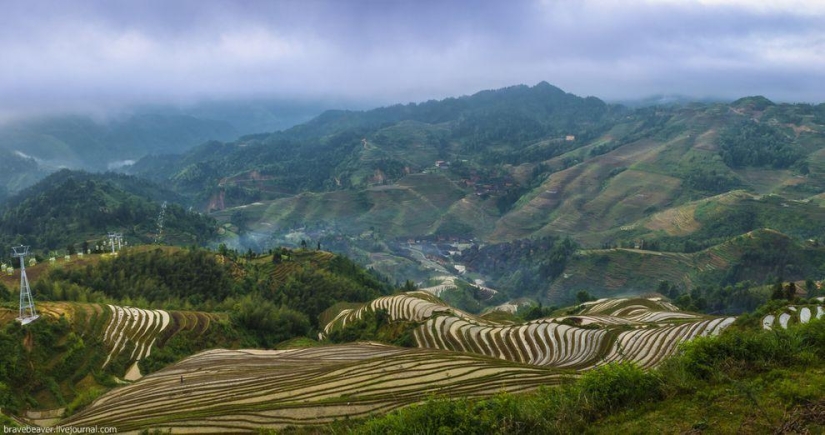 Rice terraces in Longsheng