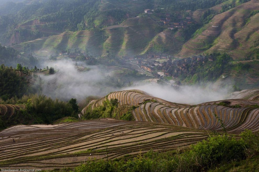 Rice terraces in Longsheng