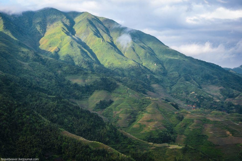 Rice terraces in Longsheng