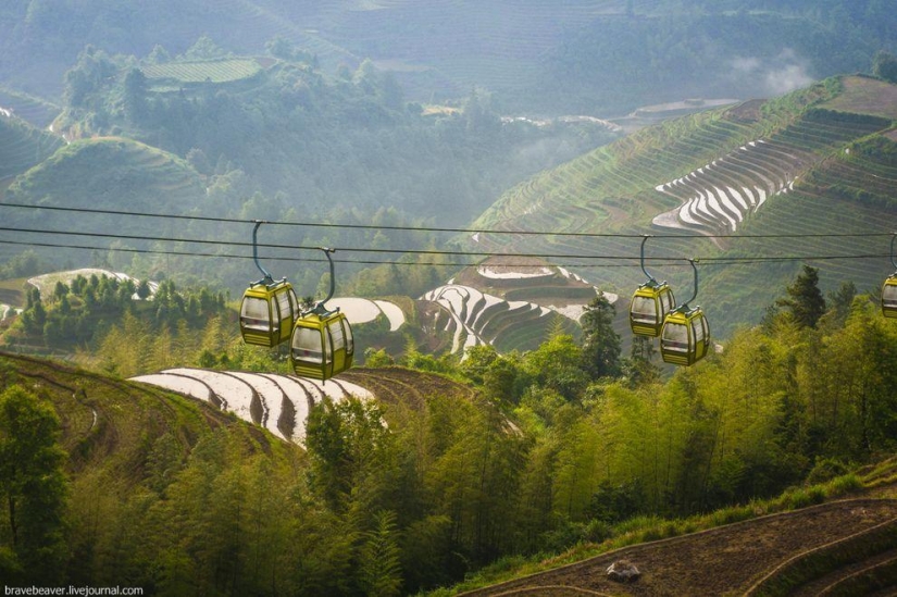 Rice terraces in Longsheng