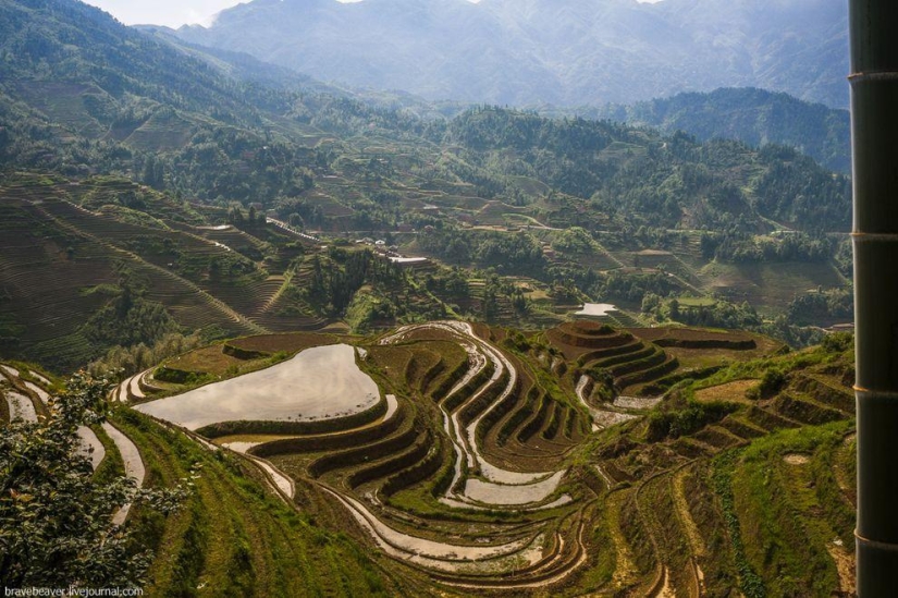 Rice terraces in Longsheng