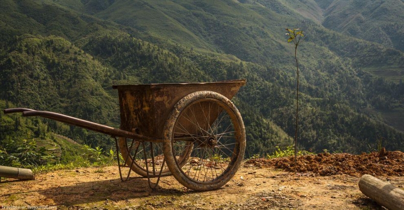 Rice terraces in Longsheng