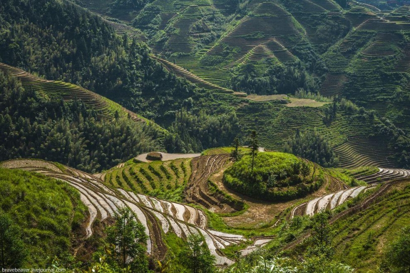 Rice terraces in Longsheng