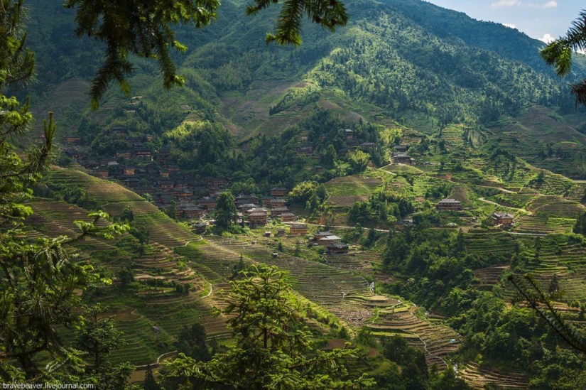 Rice terraces in Longsheng