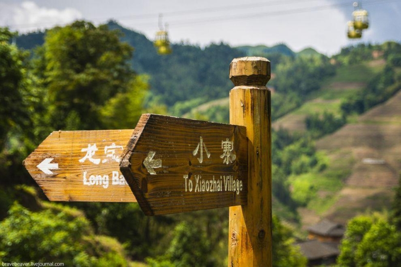 Rice terraces in Longsheng