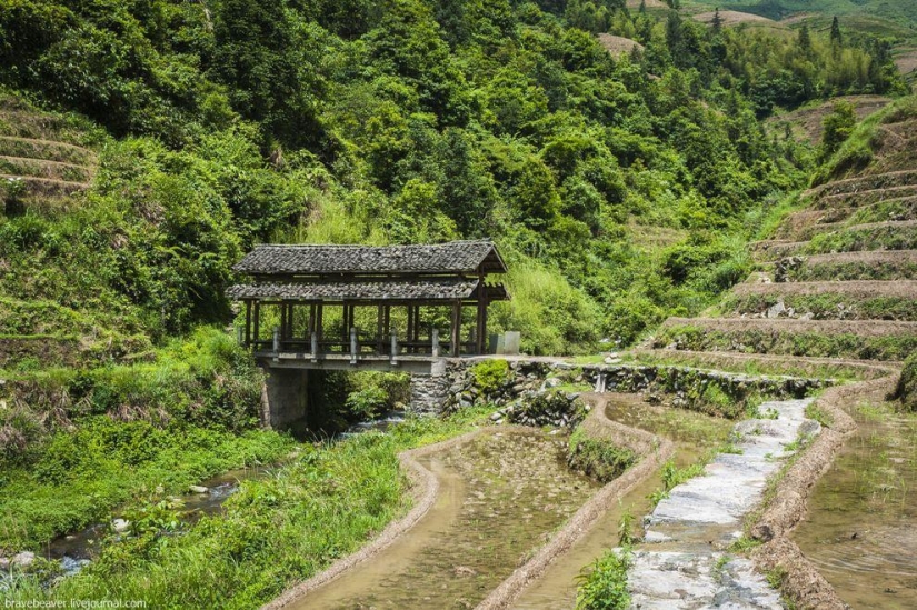 Rice terraces in Longsheng