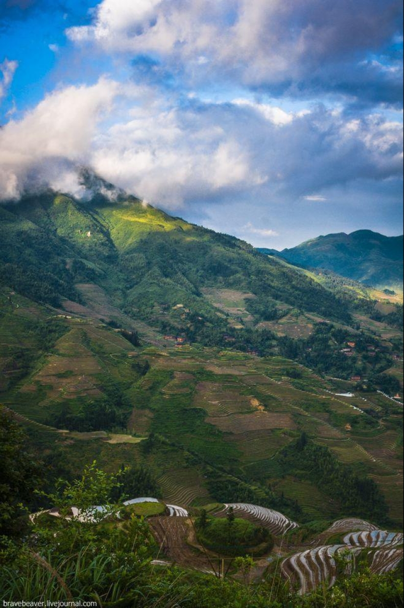 Rice terraces in Longsheng