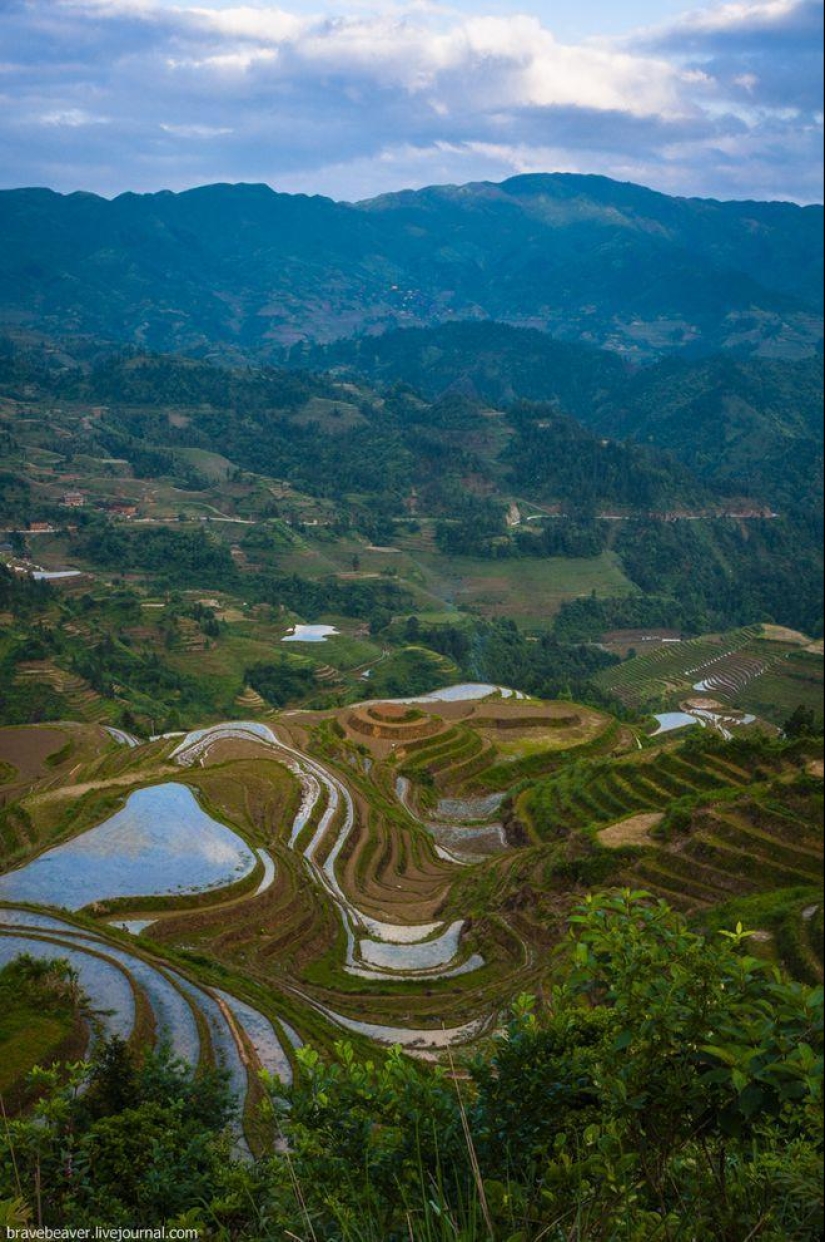 Rice terraces in Longsheng