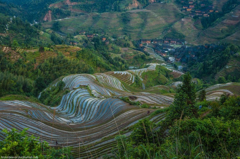 Rice terraces in Longsheng