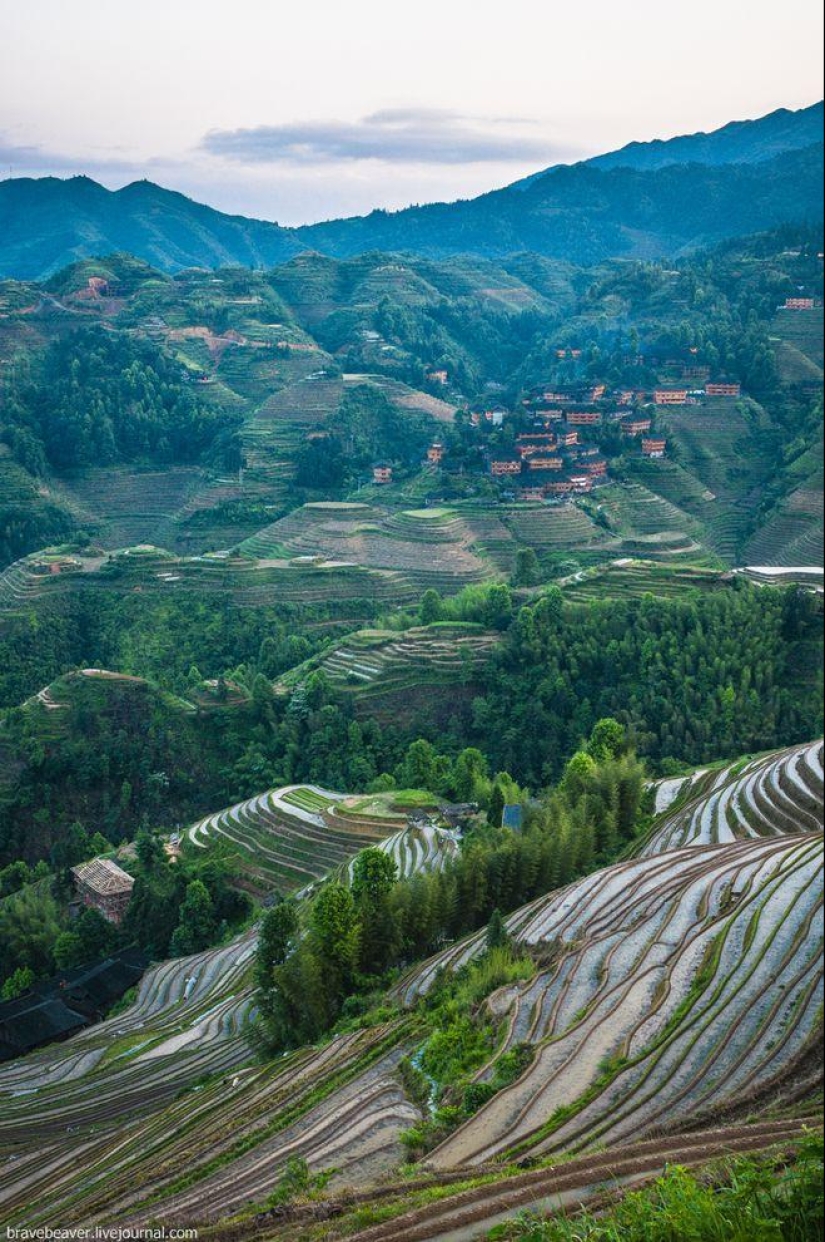 Rice terraces in Longsheng