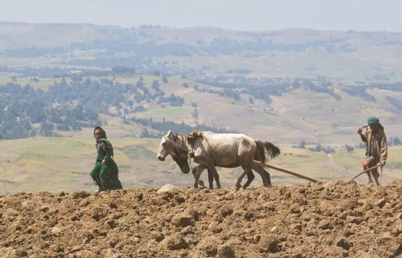 &quot;Roof of Africa&quot;: the impressive beauty of the Ethiopian highlands