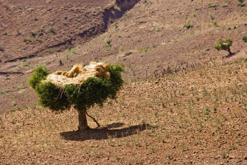 &quot;Roof of Africa&quot;: the impressive beauty of the Ethiopian highlands