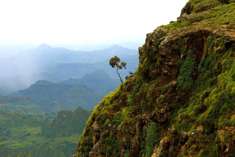 &quot;Roof of Africa&quot;: the impressive beauty of the Ethiopian highlands