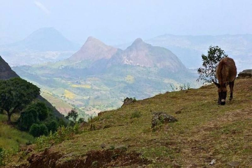 &quot;Roof of Africa&quot;: the impressive beauty of the Ethiopian highlands