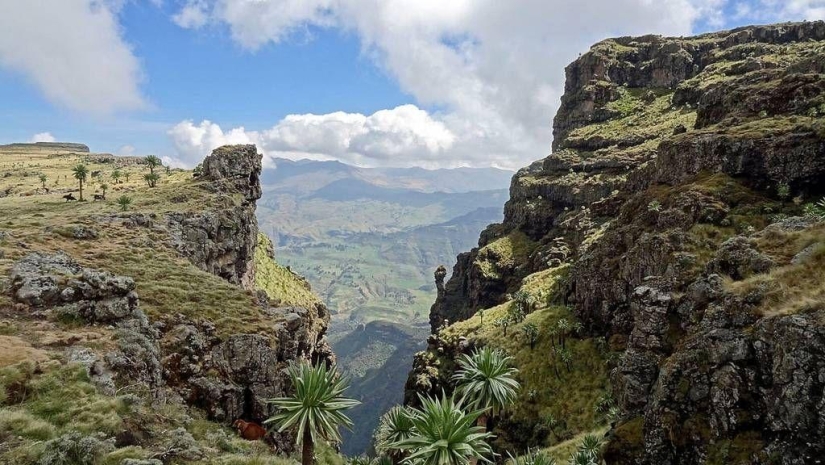 &quot;Roof of Africa&quot;: the impressive beauty of the Ethiopian highlands