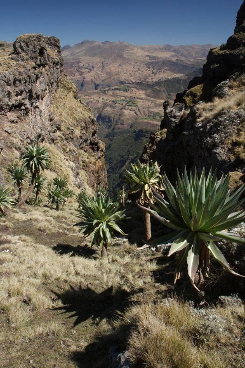 &quot;Roof of Africa&quot;: the impressive beauty of the Ethiopian highlands