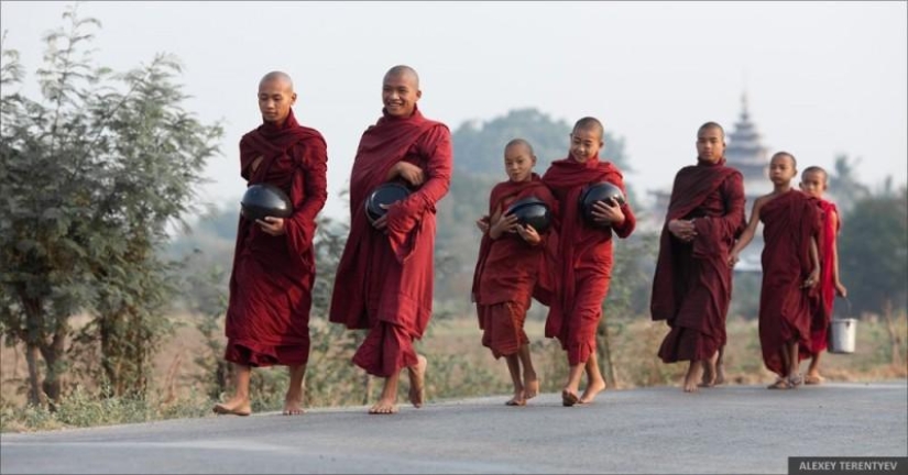 Salida del sol sobre campos de arroz y alimentación de monjes